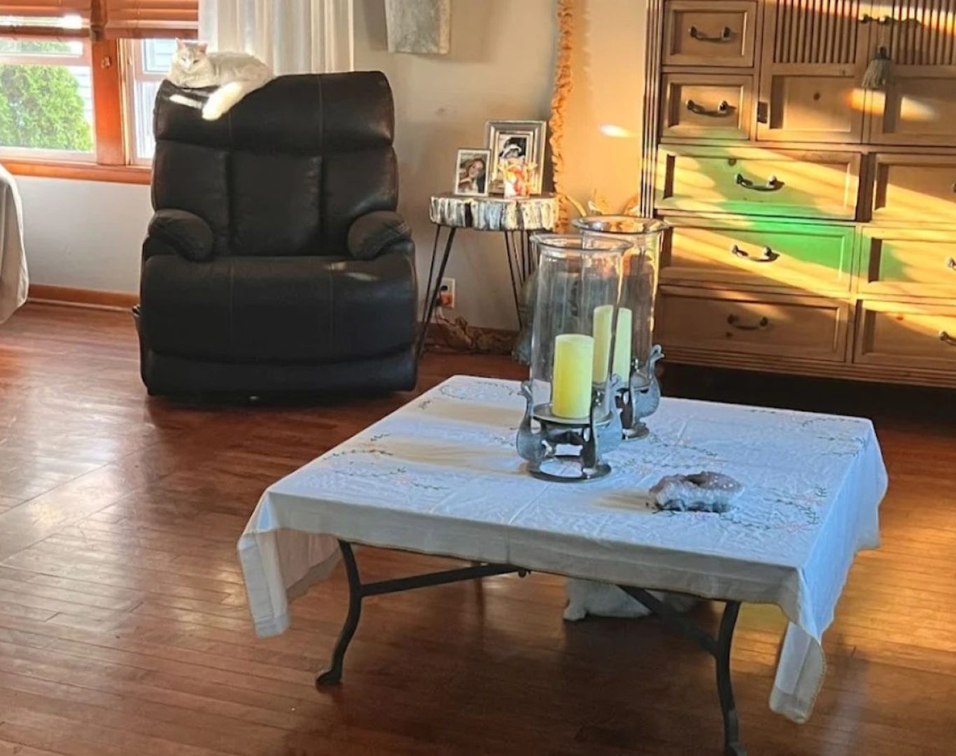 Stay Fresh Cleaning expert performing home cleaning service in Libertyville, IL, showing reliability, skill, and trust. Home Cleaning Service near me.